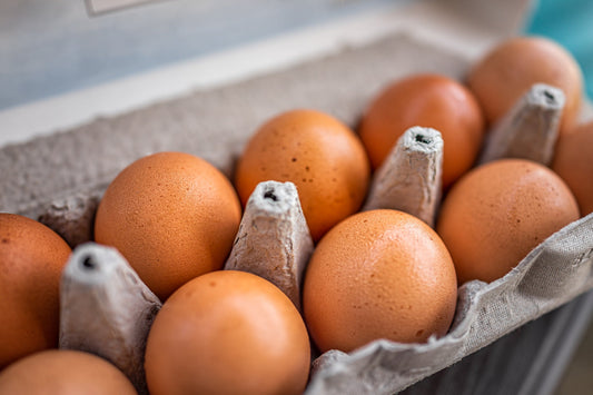 Eggs Revisited: Cholesterol, Gut Health, and Nutrient Density
