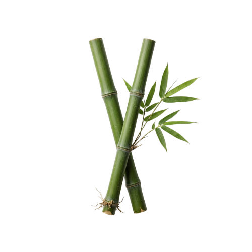 Bamboo fibre